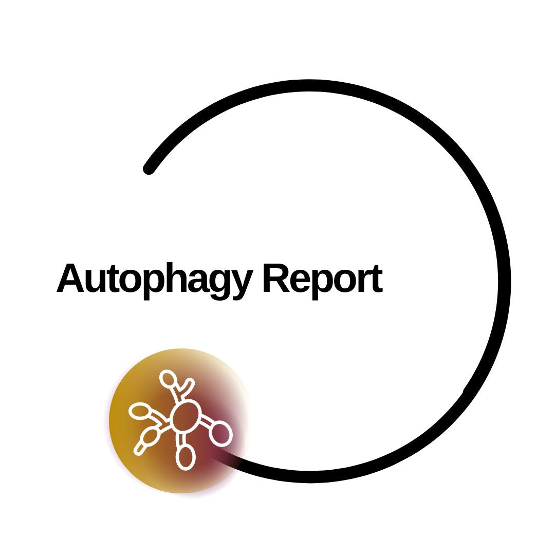 Autophagy Report - Dante Labs World