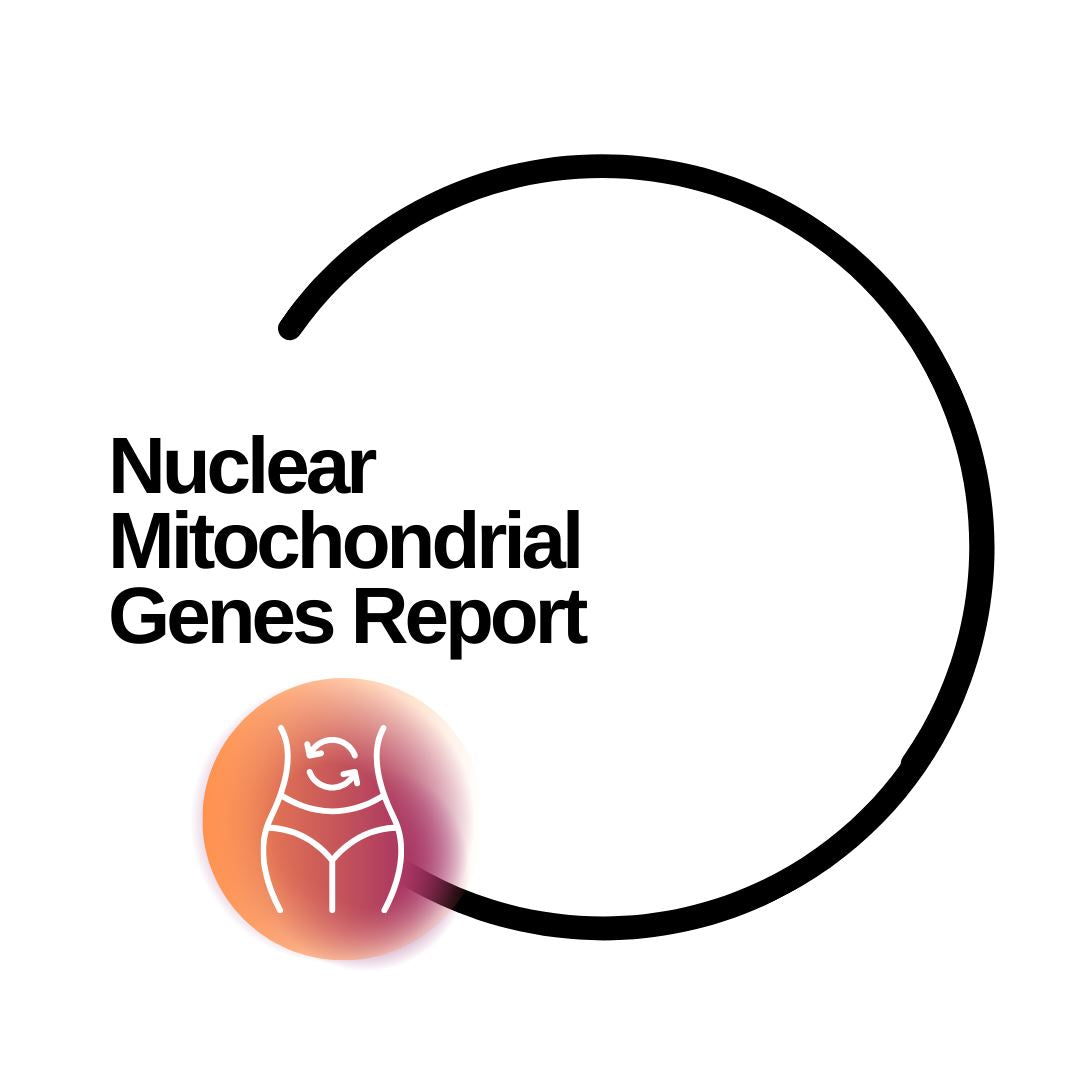 Nuclear Mitochondrial Genes Report